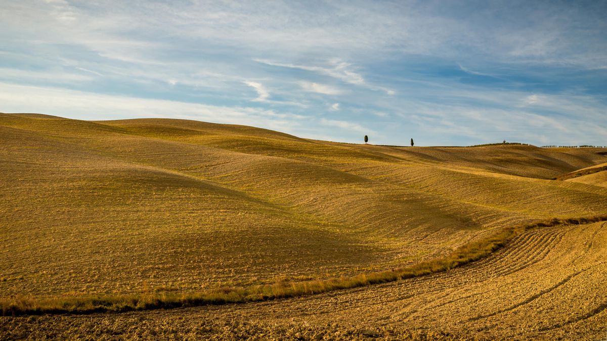 Tuscan landscape representing the central Italian region served by Centrofidi Terziario